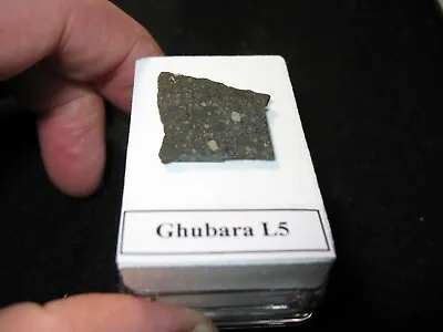 GHUBARA Meteorite Slice Xenolithic Black Metal Rich L5 Chondrite Oman 1954 3.8g • £12.50