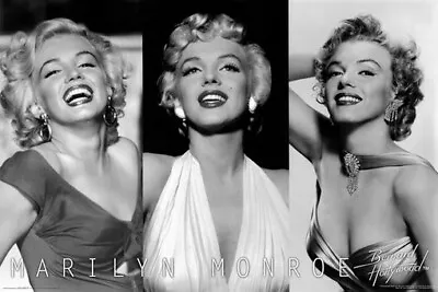 MARILYN MONROE POSTER 3 Pictures RARE HOT NEW 24x36 • $22.17