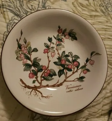 Villeroy & Boch Botanica All Purpose Bowl 5 1/2  Vaccinium • $15