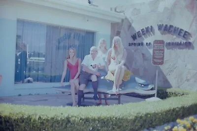 9- 1971 Weeki Wachee Florida Mermaid Park 35mm Kodak Slide Photo • $12