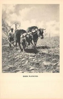 Farming~Agriculture  OXEN PLOWING Farmer~Hand Plow  1920 Vintage B&W Postcard • $5.02