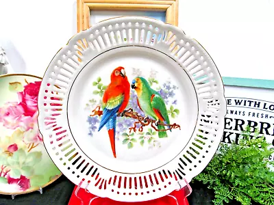 Bavaria Germany Cabinet Plate Open Edges GREEN Parrot Design Bird Plate Charger • £37.95