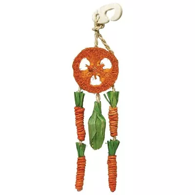 Rosewood Boredom Breaker Carrot Dream Catcher Hanging Cage Accessory Gnaw Chew • £5.49