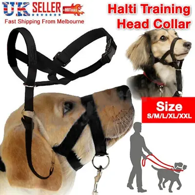 Halti Headcollar Non Pull Dog Head Collar For Training Adjustable Dog Halter Uk • £9.32