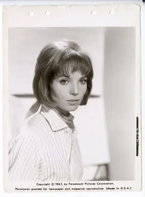 Elsa Martinelli 1961 Hatari Breathtaking Double Weight Original Keybook Photo  • $29.99