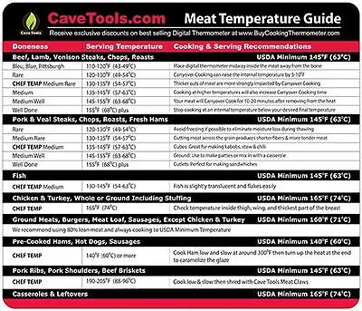 Meat Temperature Magnet THE BEST INTERNAL TEMP GUIDE - Outdoor Chart Of All Food • $8.25