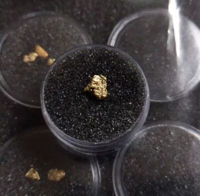 Genuine/Natural .33 Gram Australian Gold Nugget. 96%-98% Purity.  • $33