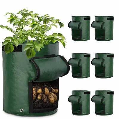 1-10PCS Grow Bags Potato Tomato Plant Bag Fruit Vegetable Planter Pots Container • £4.39