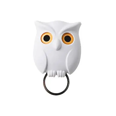 £10.18 • Buy Night Owl Magnetic Wall Key Holder Hook Hanging Key It Will Open Eye Keychain