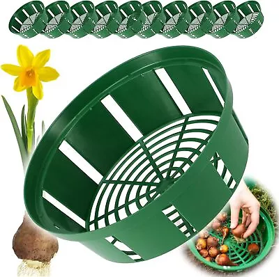 Bulb Baskets Daffodil Tulip Crocus Snowdrop Allium Easy Planter 20cm/23cm/26cm • £26.49