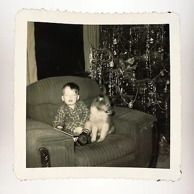 Puppy Guarding Little Boy Dog Photo 1950s Olympia Washington Christmas Kid B3060 • $29.95