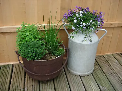 Vintage Original Aluminium French Milk Churn Patio Garden Planter / Vase • £47.50