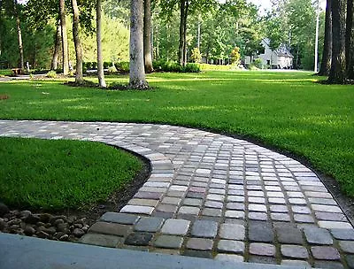 30 Driveway Paver Concrete Molds 6x6x2.5  Make 1000s Of US Made Pavers Free Ship • $209.99