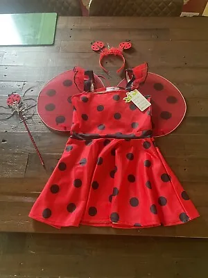 Girls LadyBug Costume Kids Fancy Dress World Book Day Age 5-6 • £11.98