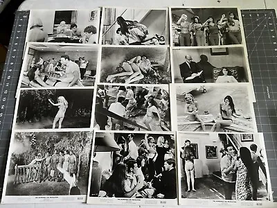 The Incredible Sex Revolution 12 Original 1965 8x10 Stills Sexploitation SWV • $20