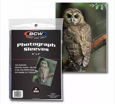 BCW 1 Pack Of 100 Sleeves 5” X 7” Photo Sleeves Toploades 2 Mil Thick. (#CS157) • $6.99