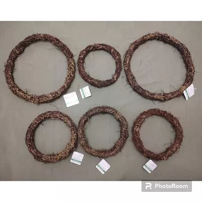 6 Grapevine Twig Moss Wreaths Ashland Decorative Naturals 12 And 8in Spring • $30
