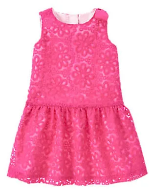 NWT Gymboree EGG HUNT Pink Organza Dress Easter Toddler Girls Wedding • $12.95