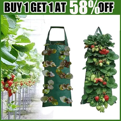 Plant Grow Bags Wall Hanging Pot Strawberry Planter Planting Bag Garden Tools • £3.98