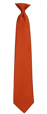 Men's Classic Rust Clip On Necktie Business Weddings Formals Party Occasions • $12.95