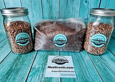 Monotub Refill - Sterile Rye Mushroom Grain Spawn Jars And 4.5 Lbs. Substrate🍄 • $58.50