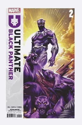 Ultimate Black Panther #2 (2024) 2nd Printing *manhanni Varaint Cover* Marvel • £5.15