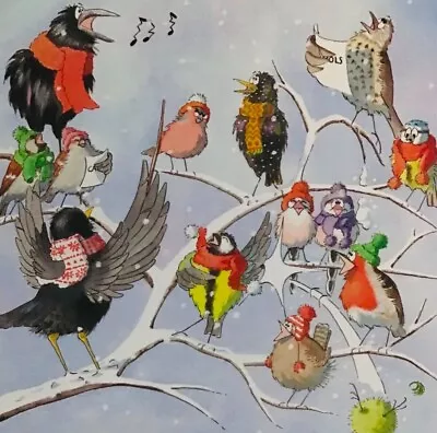 Funny Birds Choir Practice ~ Charity Christmas Card ~ Single Card 145mm • £2.25