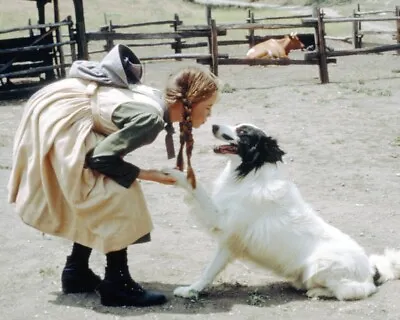 Little House On The Prairie Melissa Gilbert 8x10 Real Photo With Dog • $10.99