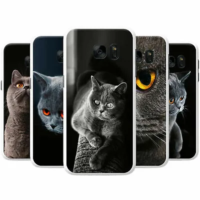 Beautiful Grey British Shorthair Cat Hard Case Phone Cover For Samsung Phones • £4.95
