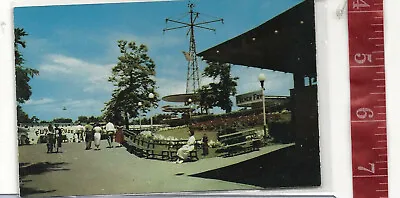 Vintage Post Card  Idora Park Section Of The Midway Youngstown Ohio  • $7