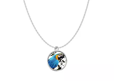 Macaw Parrot Codesd14 DOME 18  On A Platinum Plated Necklace Jewellery • $11.87