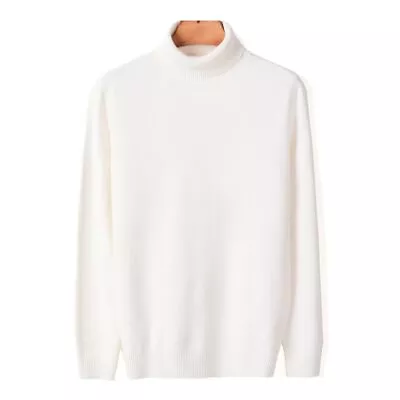 Men's Warm Turtleneck Sweater High Quality Fashion Casual Pullover Thick Sweater • $48.50