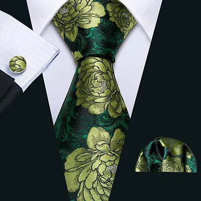 Barry Wang Mens Silk Ties And Handkerchief Square Set Party Paisley Solid Tie • £11.99