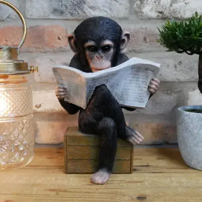 £29.99 • Buy Monkey Reading Newspaper Statue Quirky Ornament Relaxing Chimp Ape Home Decor