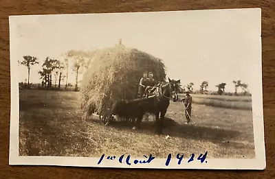 1924 Rural Farm Field Boys Drive Horse Pulled Hay Wagon Men Working Photo P10w10 • $17.50