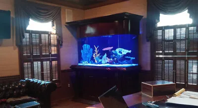 RARE! Roman Style 200 Gallon CURVED GLASS Bow Front Aquarium Fish Tank • $6650