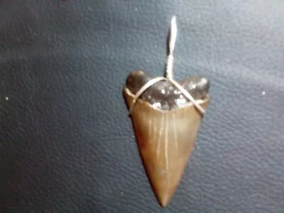 Extra Large 2.2 Mako Sharks Tooth Pendant With Sterling Silver Hand Wrap • $24.99