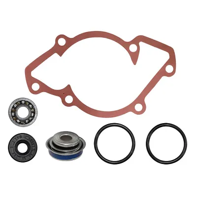 SPI Water Pump Repair Kit For Ski-Doo Fits Most 1999-2018 600 2-Stroke Sleds • $34.95
