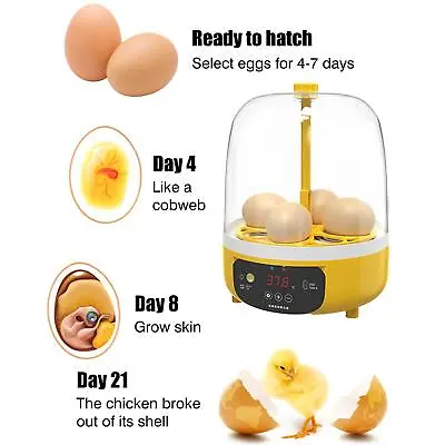 4eggs Incubator Egg Automatic Incubator Brooding Machine Chick Incubator K8S7 • £23.32