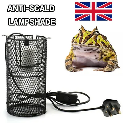 £14.99 • Buy Reptile Ceramic Heating Light Bulb Lamp Heater Holder With Safety Anti-hot Cage