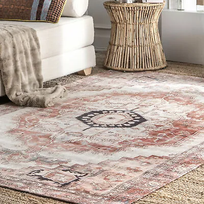 NuLOOM Vintage Minna Area Rug In Multi Traditional Oriental Design • $165.68