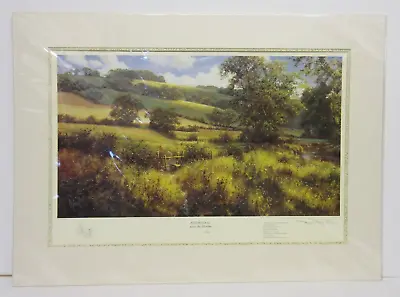 Afternoon Across Meadow By David Dipnall Signed Mounted Limited Edition Print • £35