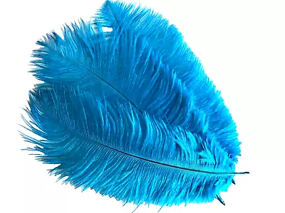 5 Pcs Turquoise Blue Ostrich Feathers 15-20cm Millinery Crafts Firsts Quality • $7.45