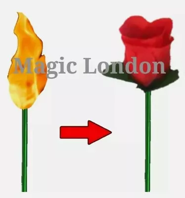 £2.99 • Buy Flame To Rose Torch To Rose Fire To Rose Flame To Flower Fire To Red Flower 