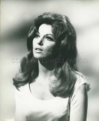 Tina Louise The Wrecking Crew 1969 Vintage Photo Genuine #6 • $72.51