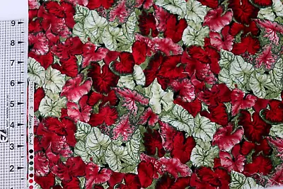 Coleus Plant Leaves Red Gree Cotton Quilt Fabric FQ Novelty I SPY RARE 21  X 18  • $3.80