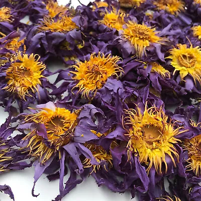 $1.99 • Buy Organic Ceylon Blue Lotus Dried Flowers Natural Herbal |Nymphaea Caerulea| Drink