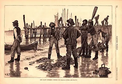  LONG ISLAND FISHERMAN  DIVIDING DAYS CATCH Antique A.B. Frost Engraving 1884 • $48