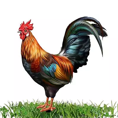 £12.64 • Buy Large Metal Chicken Hen Cockerel Rooster Garden Ornament