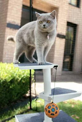 Skywalks Outdoor Cat Tree / Weatherproof Design / Housing & Shelter Platforms • $257